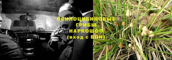 амф Нязепетровск
