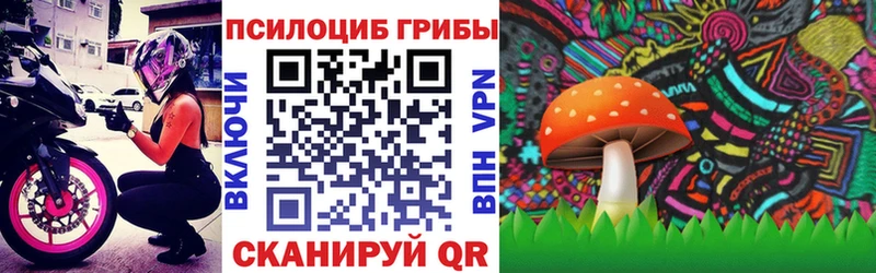 Купить закладки  Когалым  Псилоцибиновые грибы Cubensis 